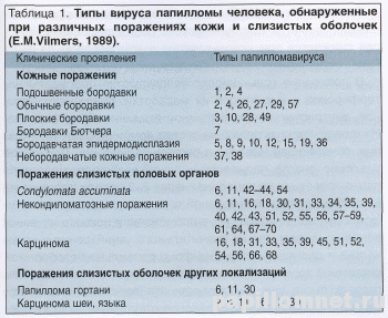Таблица показывающая все типы ВПЧ