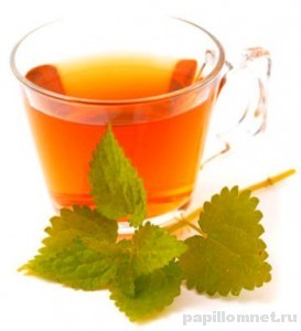 Фото отвара из крапивы для удаления полипов народными методами