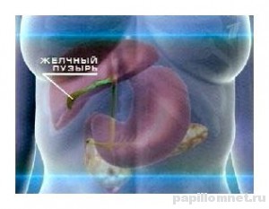 Фото желчного пузыря, без полипа