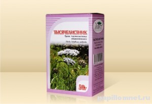 Фото травы - тысячелистник