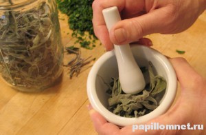 Фото отвара для удаления полипов народными методами