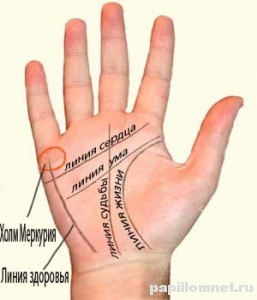 Фото названий линий на руке
