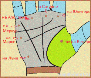 Фото ладони с астрологическими зонами