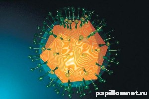 Условное представление вируса простого герпеса