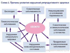 Схема причин развития нарушений репродуктивных функций