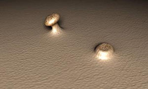 Внешний вид папилломы