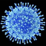 ВПЧ в большом увеличении