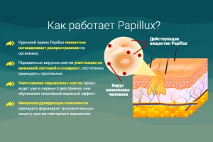 Действие средства Папилюкс