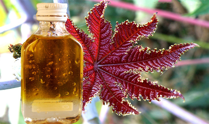 Касторовое масло против папиллом