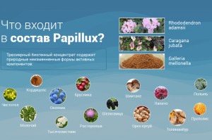 Состав Папилюкс