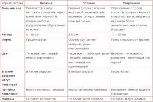 Виды бородавок