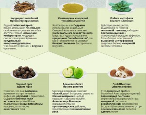 Состав препарата Папидерм